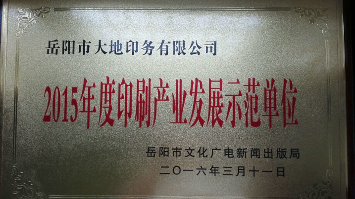 岳阳市大地印务有限公司,岳阳大地印务,印刷包装,食品包装哪里好